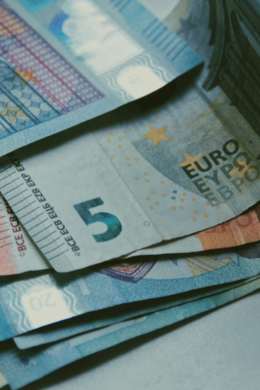 Geld in euro's